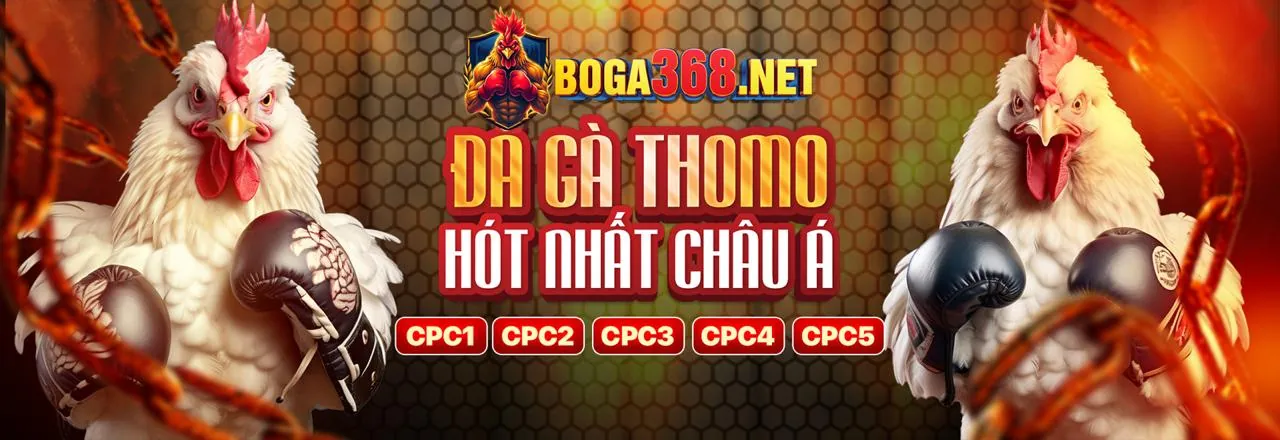 Đấu trường đá gà trực tuyến tksv388